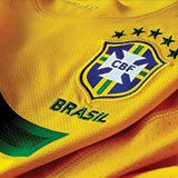 coat of arms inspiration